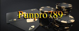punpro 789 12 300x120 - Punpro789 สนุกปั่นมันส์